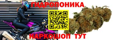 ПСИЛОЦИБИНОВЫЕ ГРИБЫ Бузулук