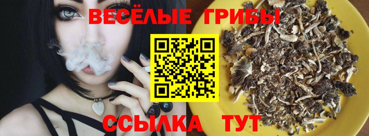 Псилоцибиновые грибы ЛСД  Галлюциногенные грибы прущие грибы  Вход с VPN  цена наркотик  Кумертау 